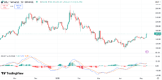 帶有 MACD 的 SOL 價格圖表 |來源：Trading View