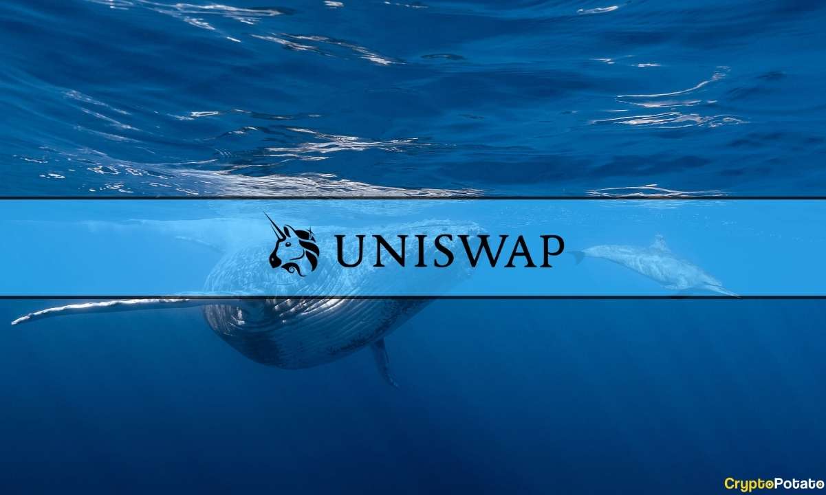 uniswap_whale_cover