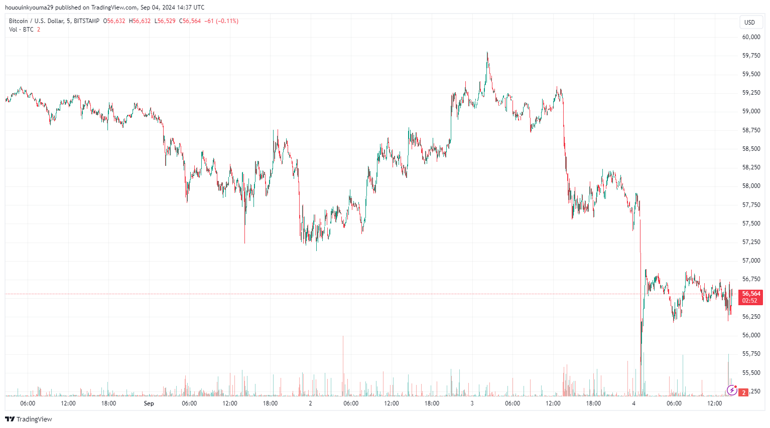 Bitcoin Crypto Price Chart
