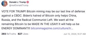 Trump crypto