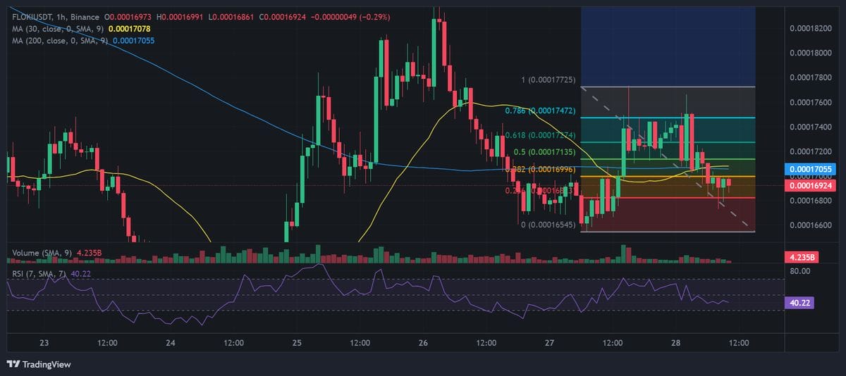 FLOKI price chart with technical analysis. Source: Binance.