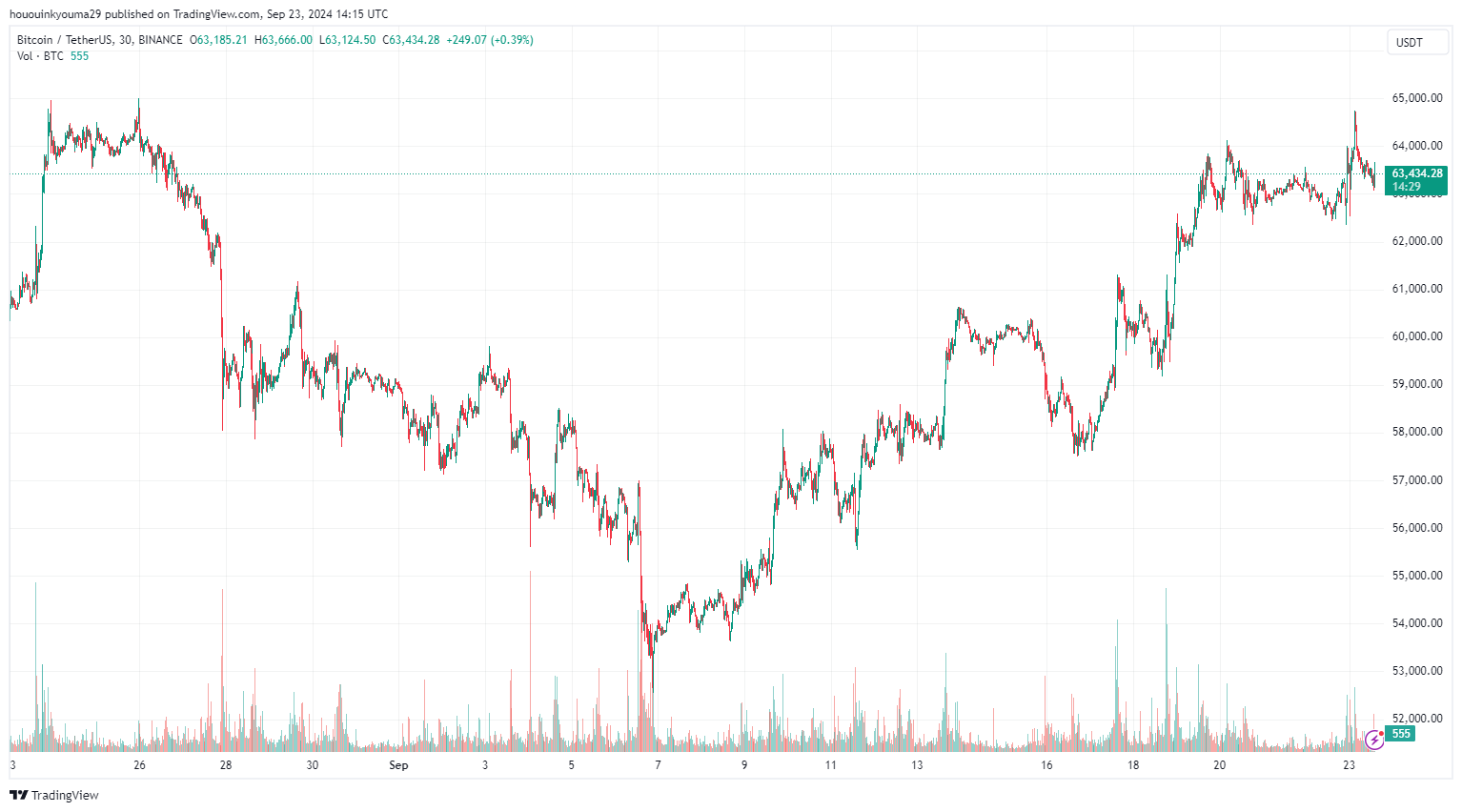 Bitcoin Price Chart