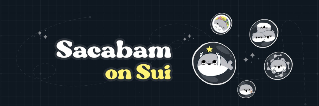 全面揭秘Sui的生态发展和布局