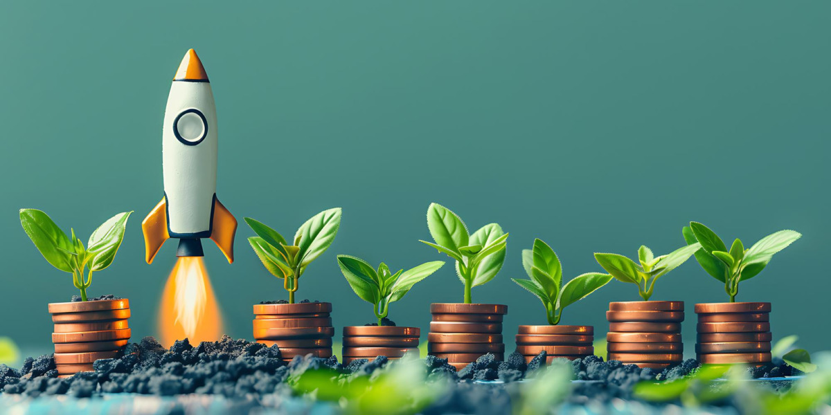 Meme Coin Yatırımıyla 3.329x Kazanç: Yalnızca 5 SOL Harcamıştı!