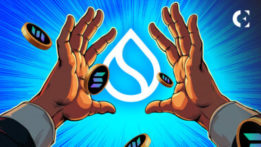 محفظة العملات الرقمية&nbsp; راؤول بال: لماذا يراهن كبيرًا على سوي