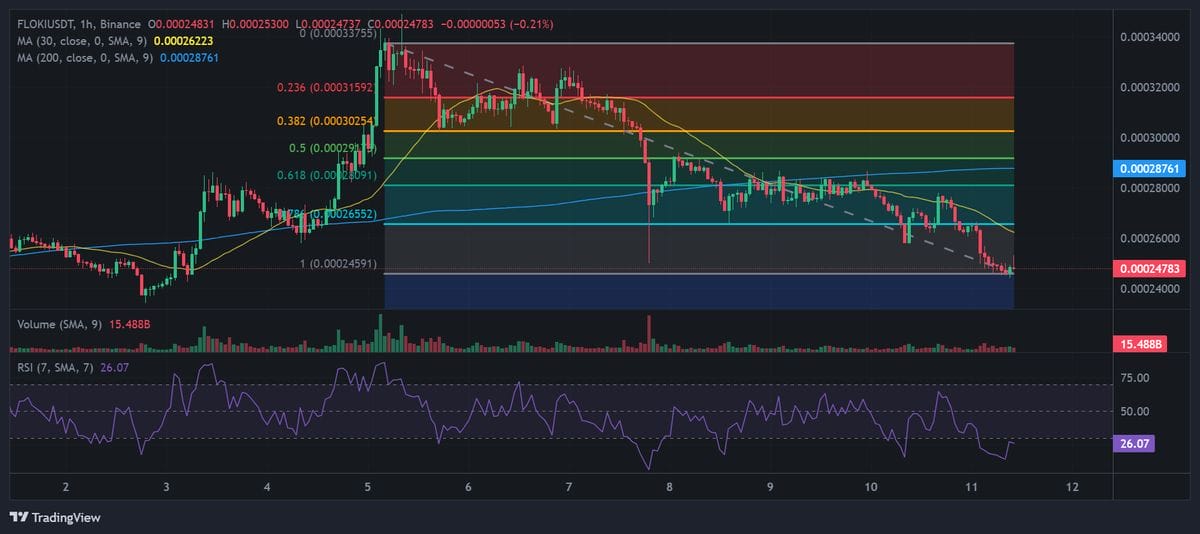 FLOKI Chart with Technical Analysis. Source: Binance.