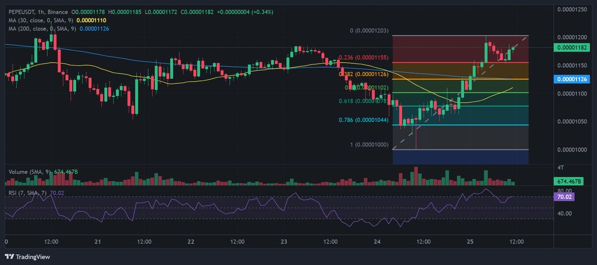 PEPE price chart with technical analysis. Source: Binance.