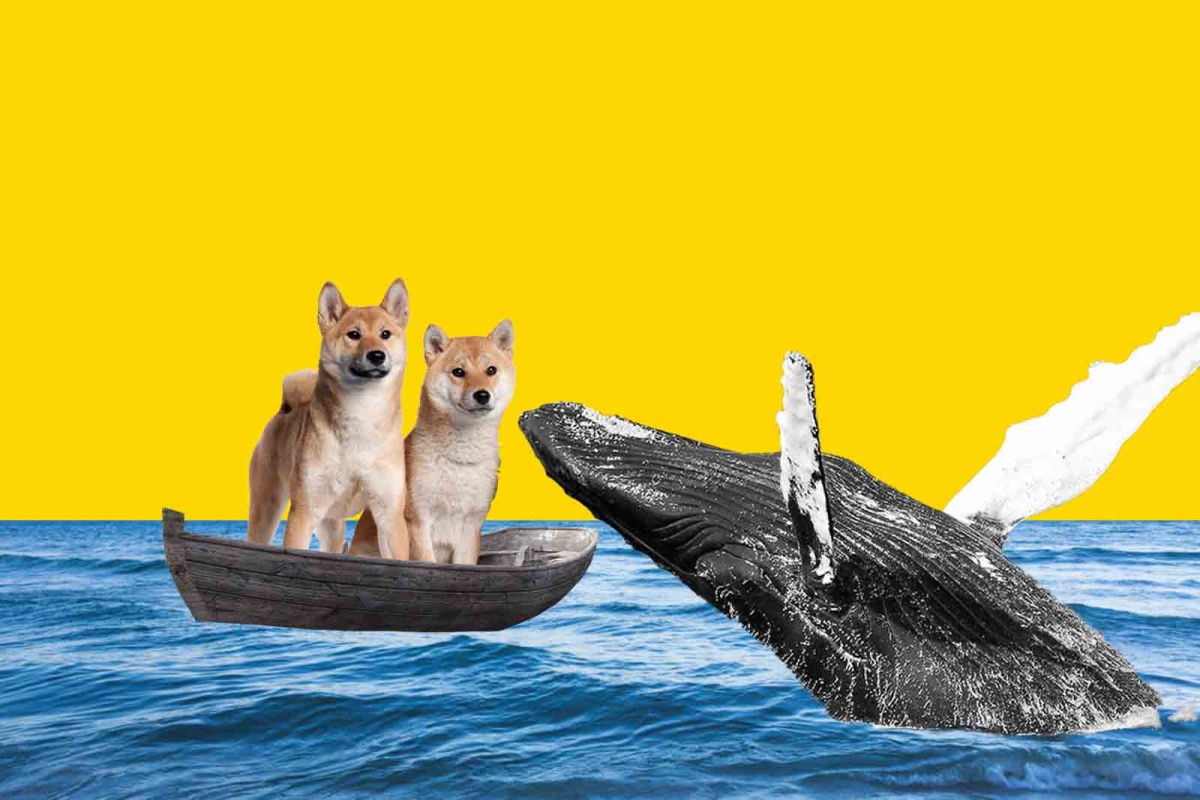 Ünlü Kripto Balinası: Bu Meme Coin Fırlamaya Hazır!
