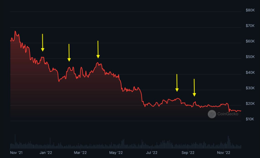 当你不再相信这是牛市，牛市才不会消失