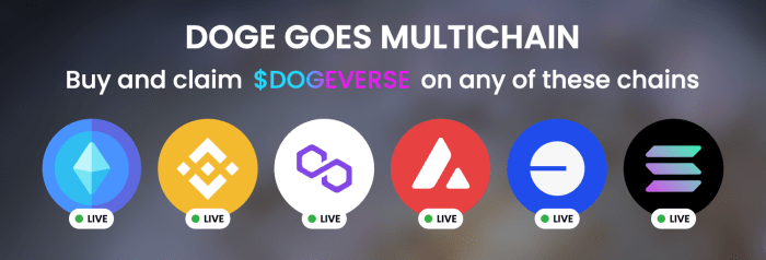 $DOGEVERSE tersedia di berbagai jaringan.