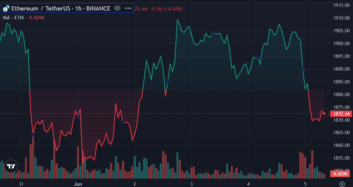 Ethereum whales’ holdings hit new ATH as price slips further - 1
