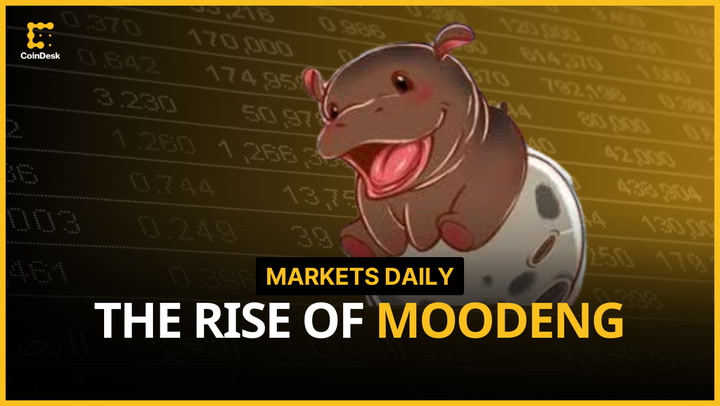 MOODENG Madness: How a Baby Hippo Memecoin Exploded Overnight