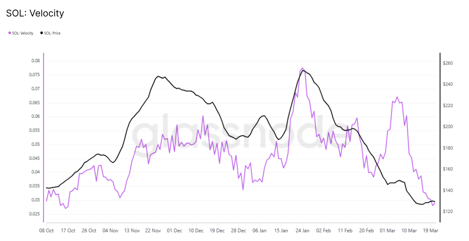 سعر سولانا لا يتجاوز 135 دولار