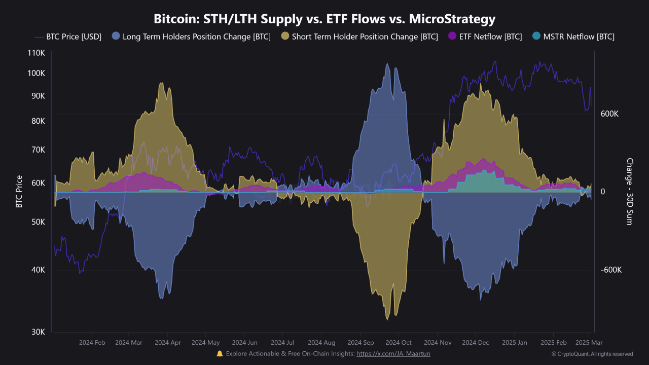 Bitcoin Rebounds as Short-Term Holders Take Control—What’s Next?