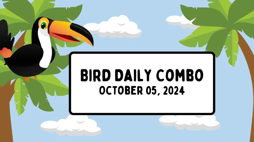 Bird TON rewards, Bird TON Daily Combo for October 05, 2024 – Maximize Your Bird Rewards