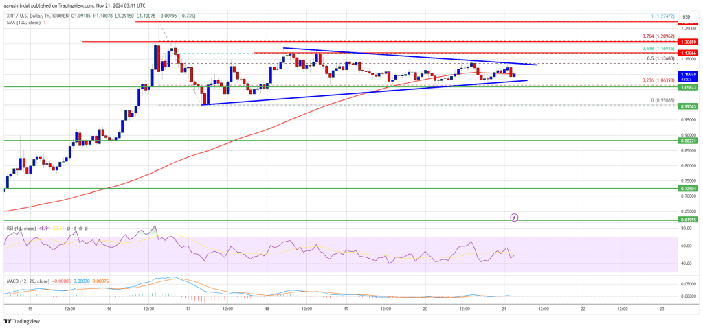 XRP Price 