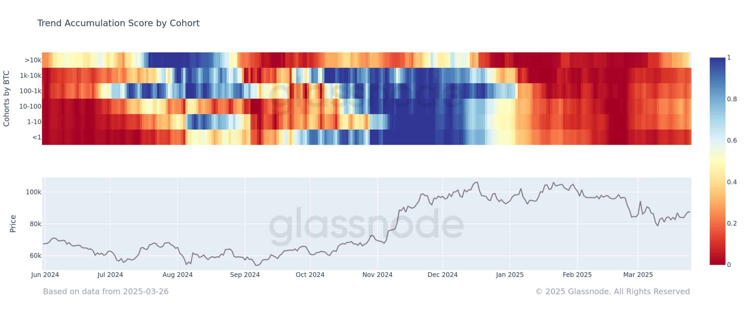 Bitcoin cohort