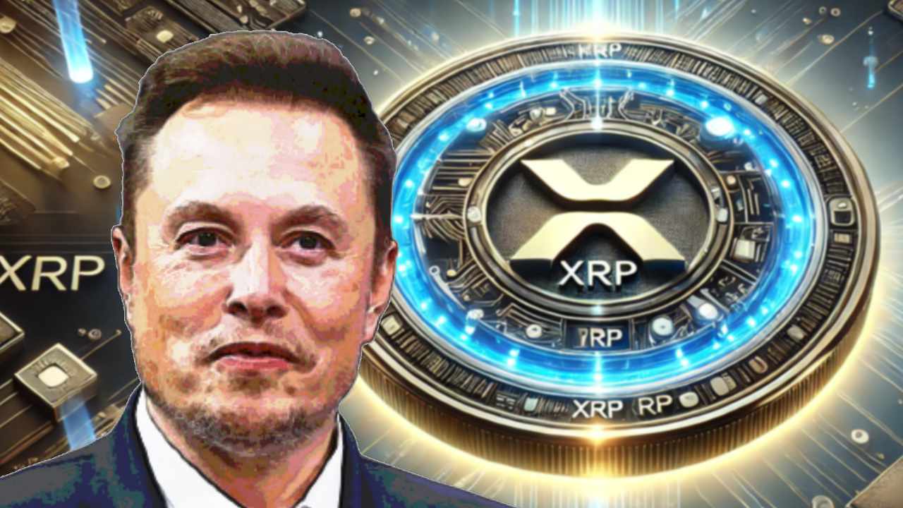 Tesla CEO Elon Musk highlights the potential of XRP and cryptocurrency in  the context of regulatory pressure. | Tapchibitcoin on Gate Square