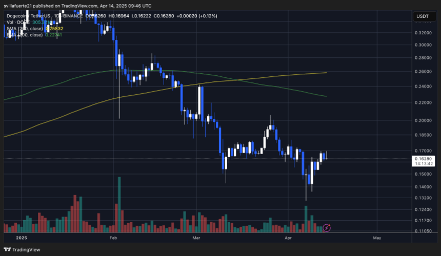 اختبار DOGE لمستويات العرض اليومية | المصدر: مخطط DOGEUSDT على Trading View